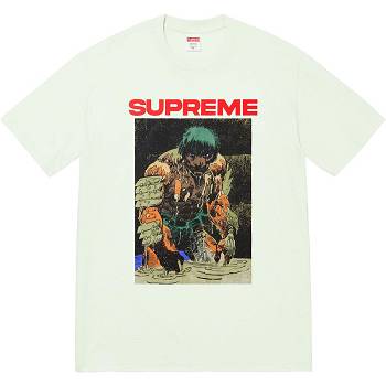 Supreme Ronin Tee T Shirts Mint | ZA238KI